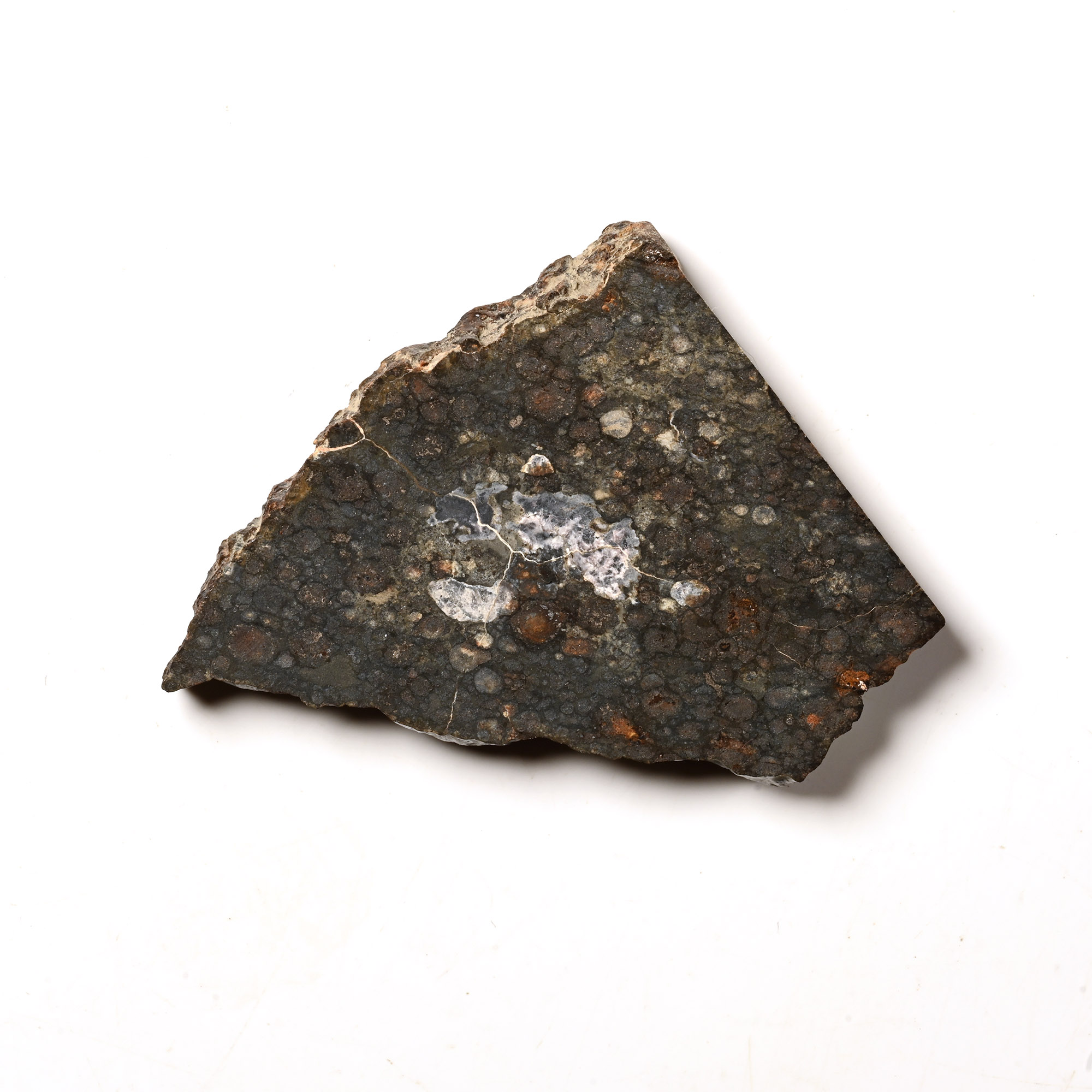 Natural History - Carbonaceous NWA 12590 Meteorite Slice